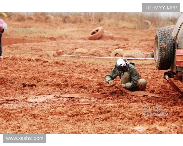 武汉排球队逆袭之旅特别报道展现拼搏精神与团队力量