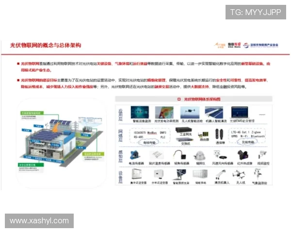 中国与泰国近期交战动态分析及未来局势展望